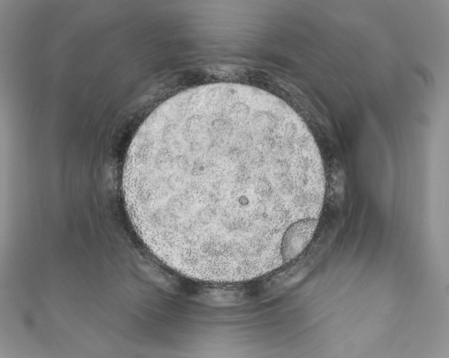 X0000110760466200907271147