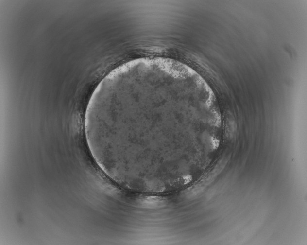 X0000110760467200907271147