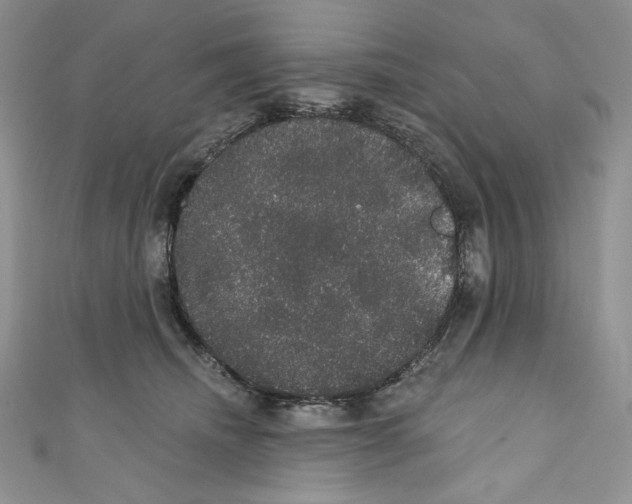 X0000110760468200907271147