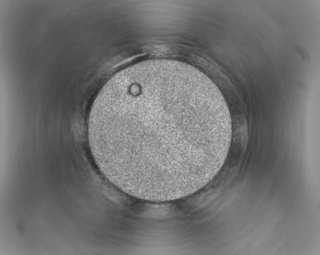 X0000110760469200907271147