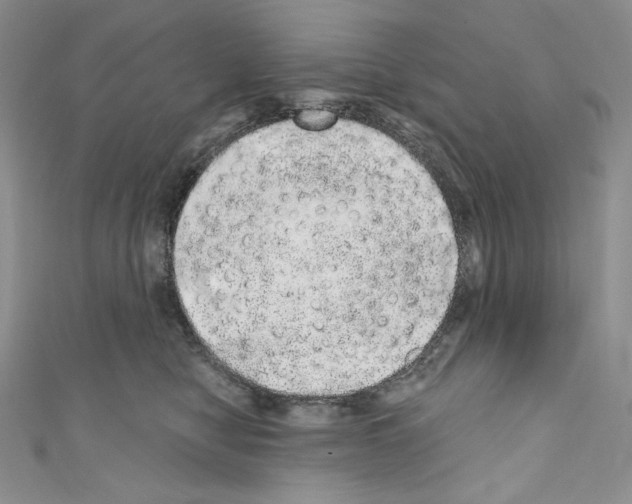 X0000110760470200907271147