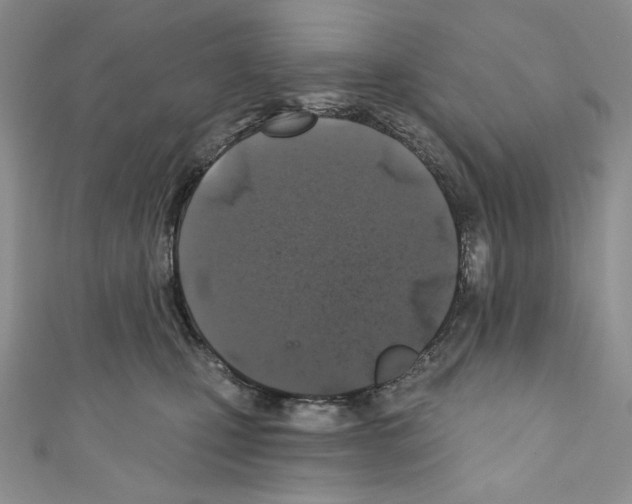 X0000110760471200907271147
