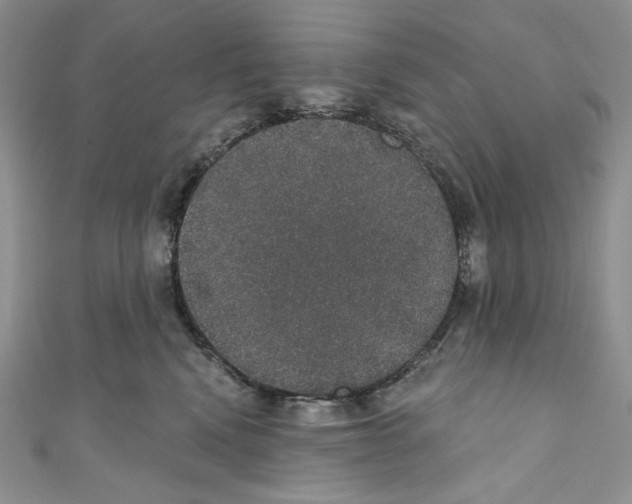 X0000110760472200907271147