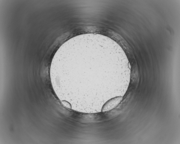 X0000110760473200907271147