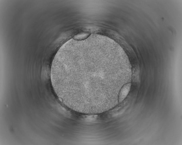 X0000110760474200907271147