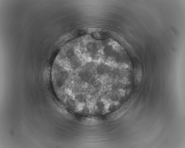 X0000110760475200907271147