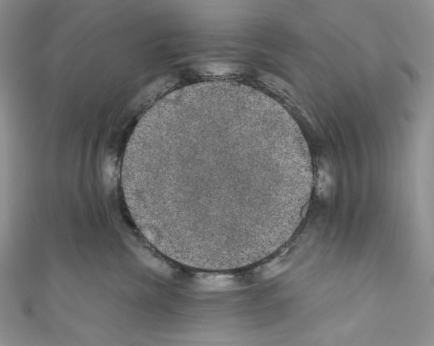 X0000110760476200907271147