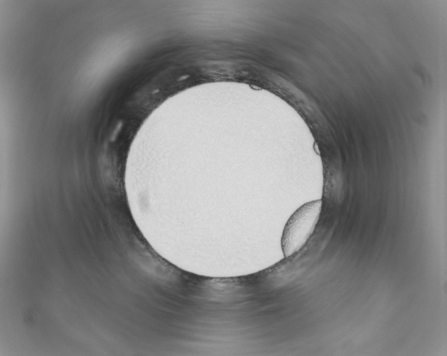 X0000110760477200907271147