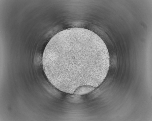 X0000110760478200907271147