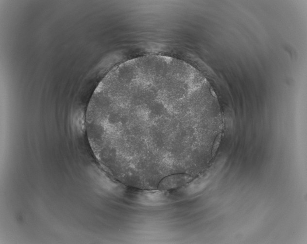 X0000110760479200907271147