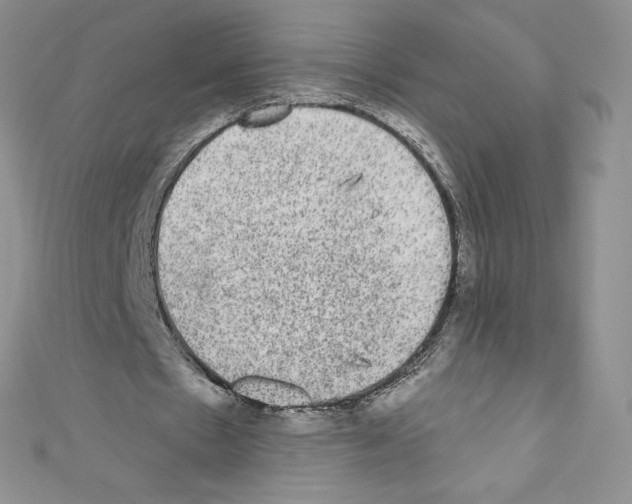 X0000110760481200907271147