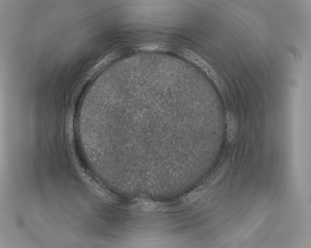 X0000110760482200907271147
