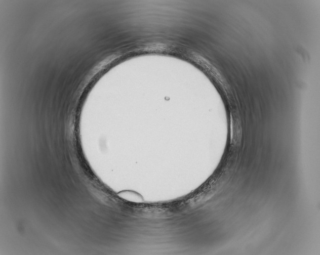 X0000110760483200907271147