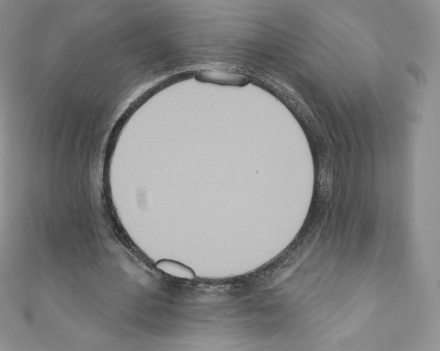 X0000110760484200907271147