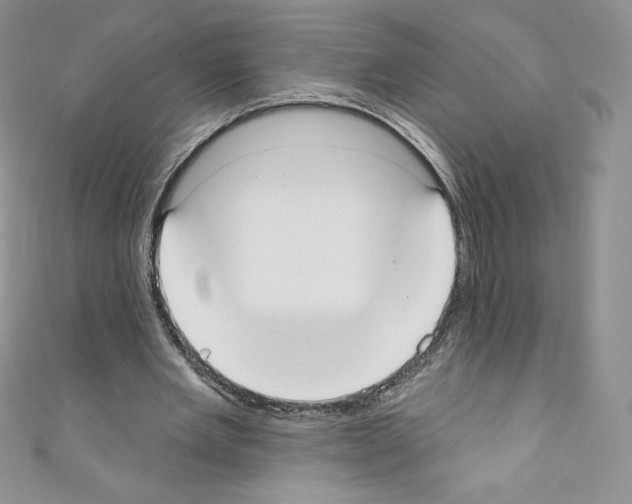 X0000110760485200907271147