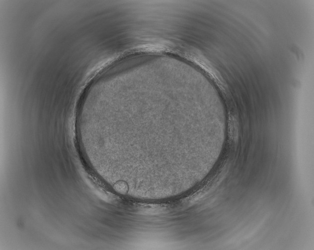 X0000110760486200907271147