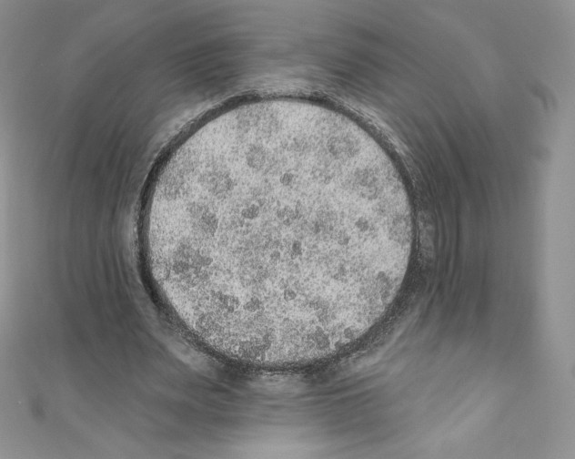 X0000110760487200907271147