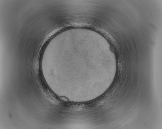 X0000110760488200907271147