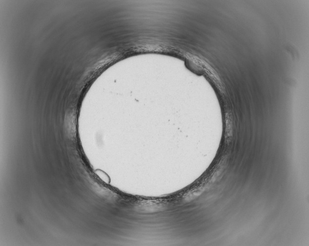 X0000110760489200907271147