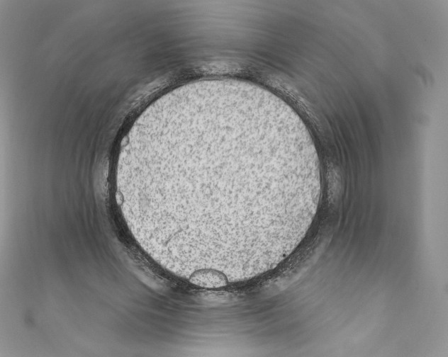 X0000110760490200907271147