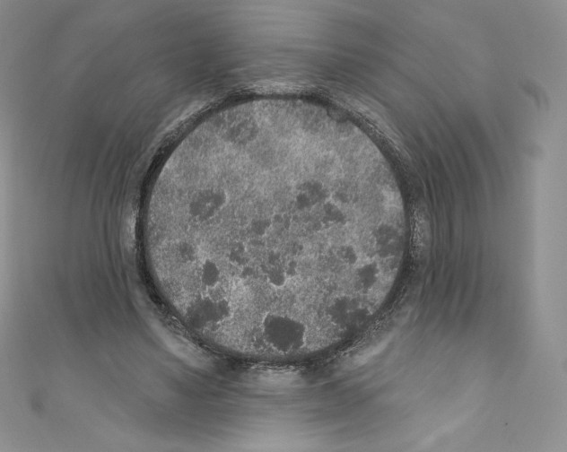 X0000110760491200907271147