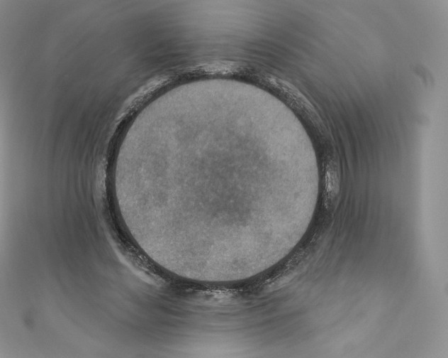 X0000110760492200907271147