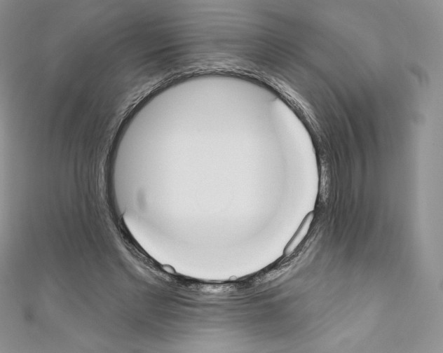 X0000110760493200907271147