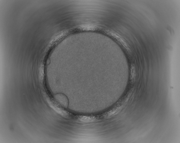 X0000110760494200907271147
