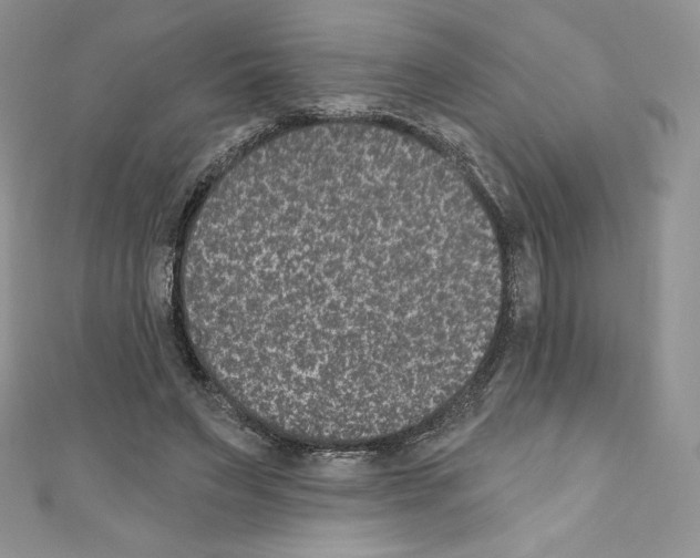 X0000110760495200907271147