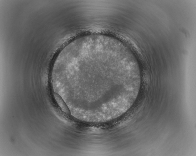 X0000110760496200907271147