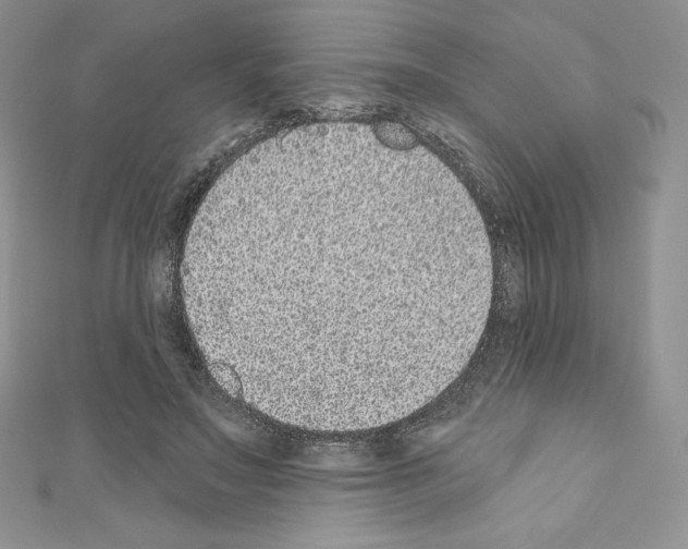 X0000110760499200907271147
