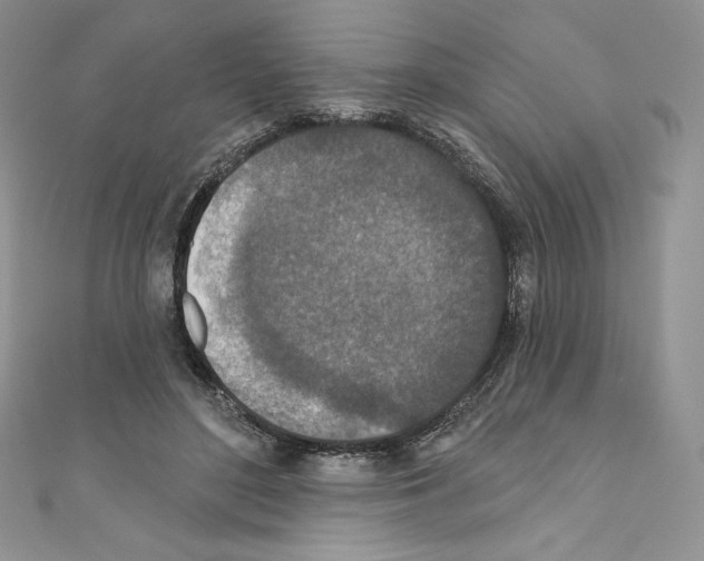 X0000110760500200907271147