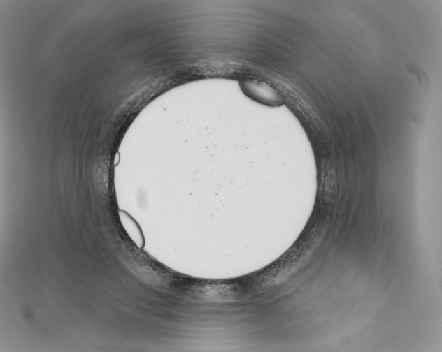 X0000110760501200907271147