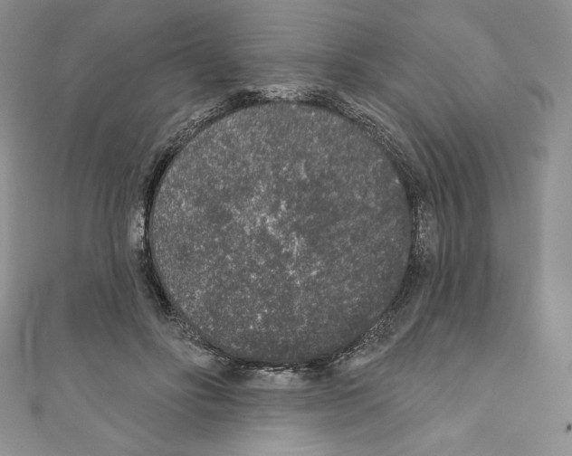 X0000110760502200907271147