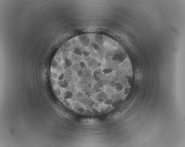 X0000110760503200907271147