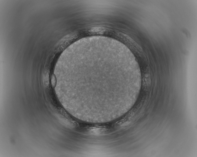 X0000110760504200907271147