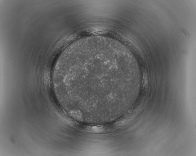 X0000110760506200907271146