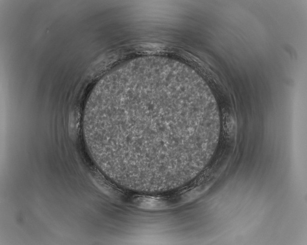 X0000110760507200907271146