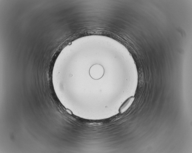 X0000110760508200907271146