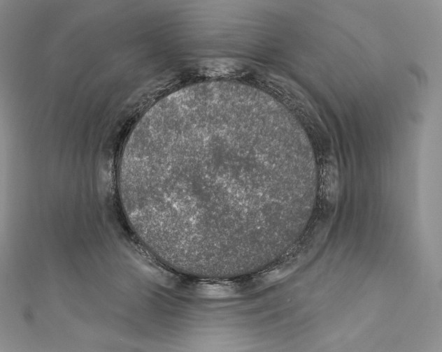 X0000110760510200907271146