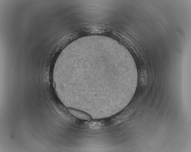 X0000110760512200907271146