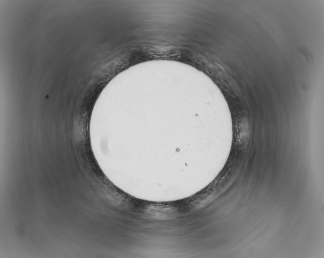 X0000110760515200907271146