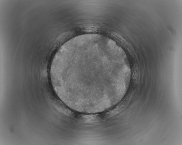 X0000110760516200907271146