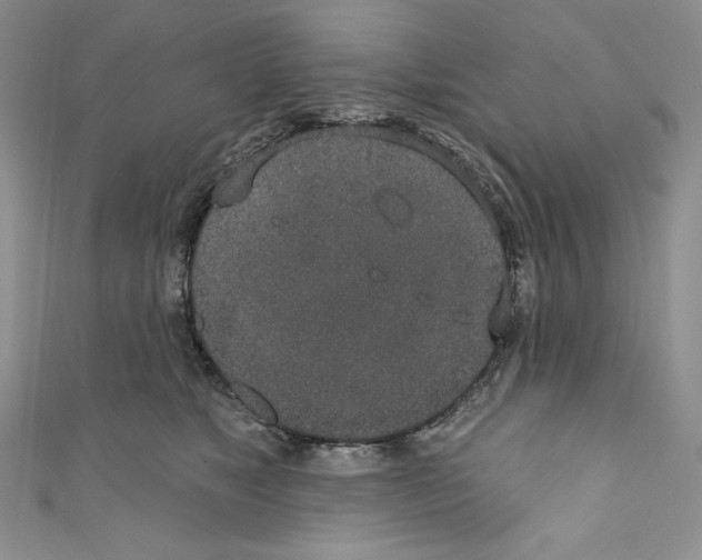 X0000110760517200907271146