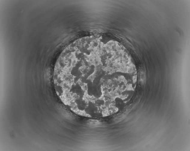 X0000110760519200907271146