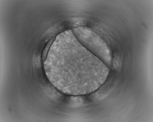 X0000110760520200907271146