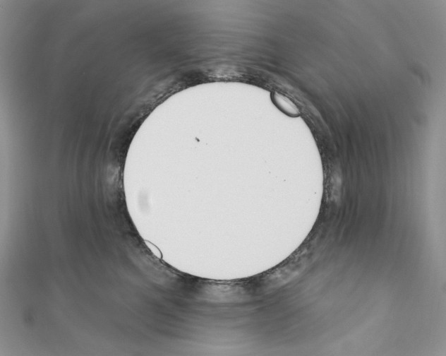 X0000110760521200907271146