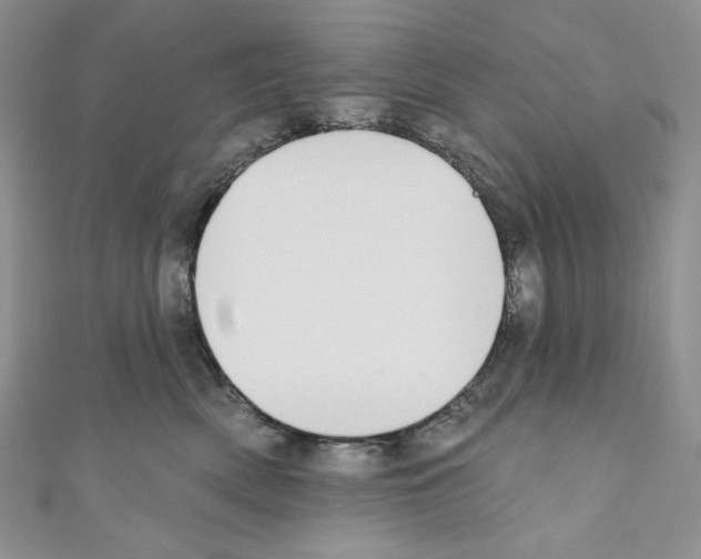 X0000110760522200907271146