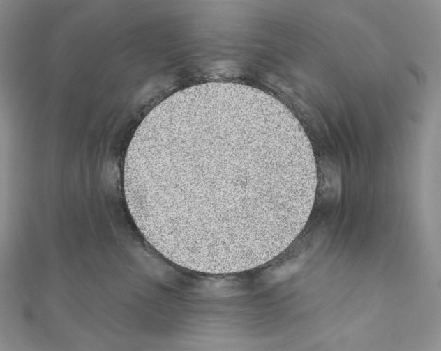 X0000110760523200907271146