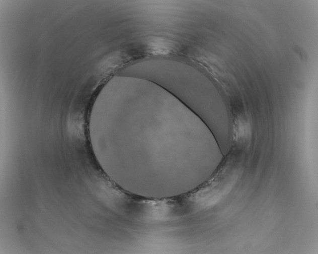 X0000110760524200907271146